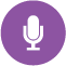 liveswitch recording icon
