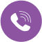 liveswitch telephony icon